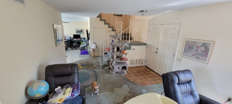 19518994813 17144775834 1 1631659366645 768x346