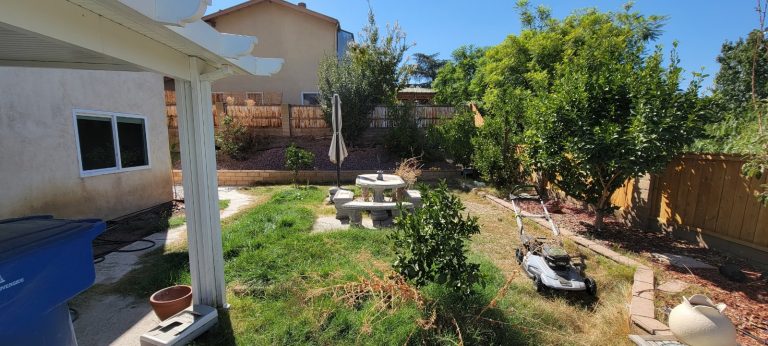 19518994813 17144775834 1 1631659398193 768x346