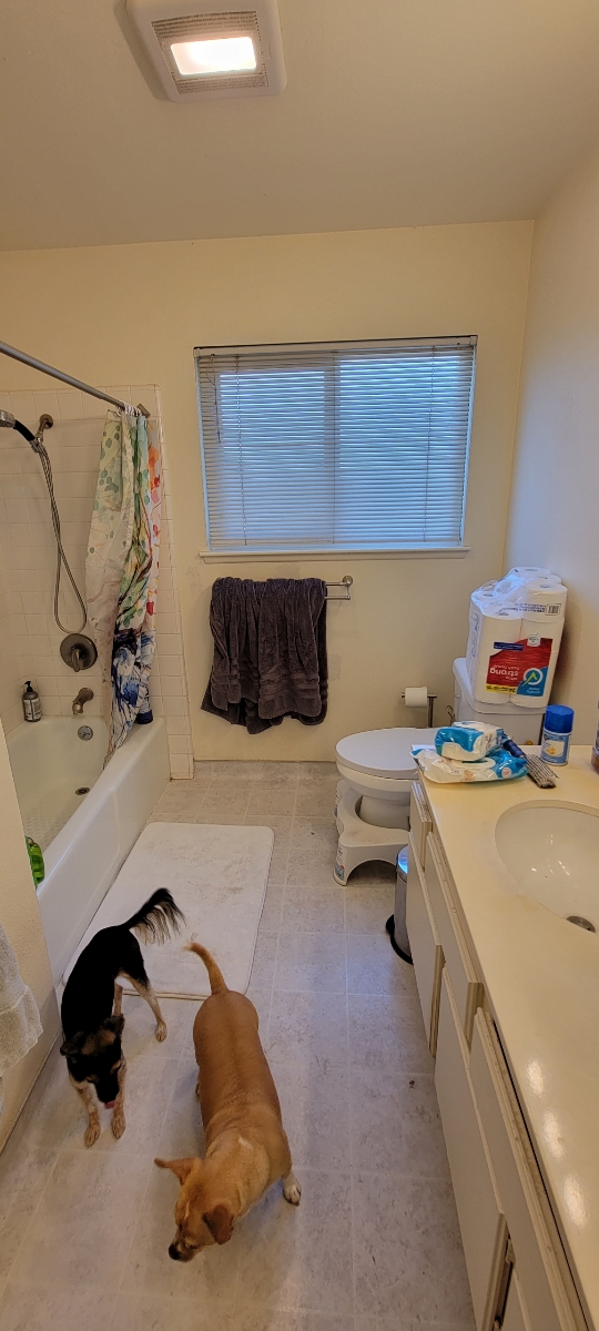 19518994813 17144775834 1 1631659437678