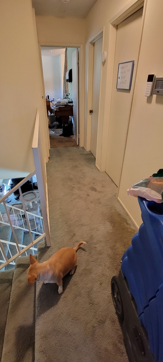 19518994813 17144775834 1 1631659442027