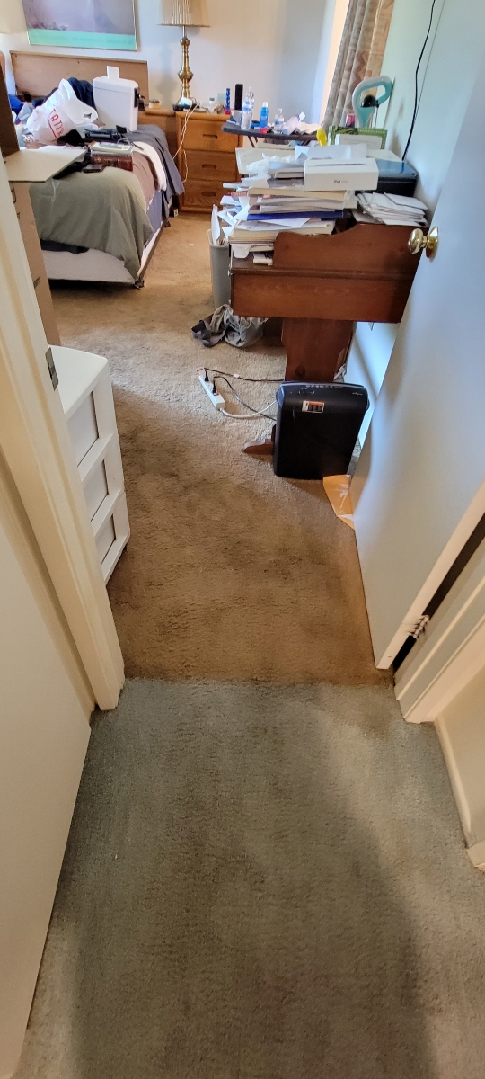 19518994813 17144775834 1 1631659442828