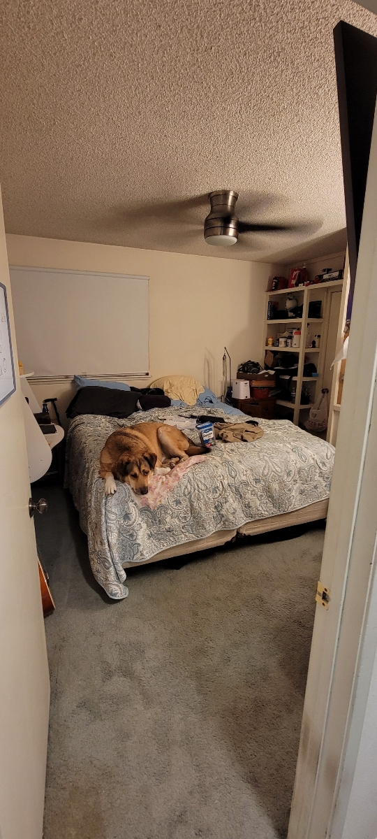 19518994813 17144775834 1 1631659510437