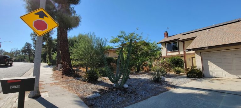 19518994813 17144775834 1 1631659834162 768x346