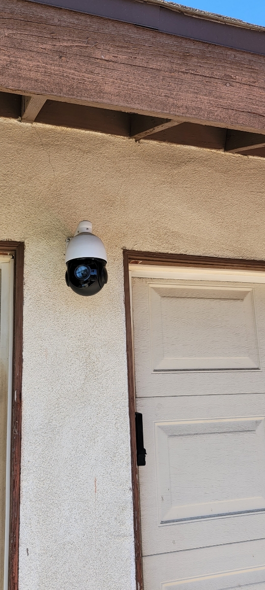 19518994813 17144775834 1 1631659866654